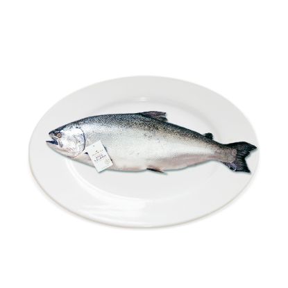 Picture of Tasman Kitchen Whole New Zealand South Island King Salmon — Approx. 3–5 kg